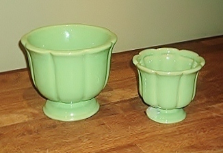 ../IMAGENS/MARIANA/FLORApote.jpg ../IMAGENS/MARIANA/FLORApote.jpg