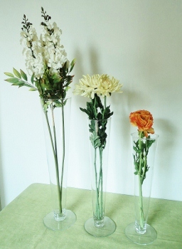 ../IMAGENS/MARIANA/tulipao.jpg ../IMAGENS/MARIANA/tulipao.jpg